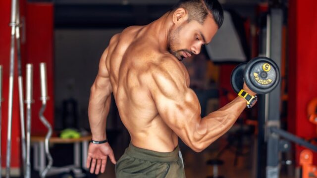 低脂質プロテインバーおすすめ比較｜ダイエット中に見る脂質・カロリー・味